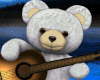 Ted Guitarist
