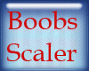 *R BooBs Scaler 30%