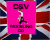 [MrC]C&V Modeling Poster
