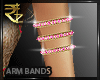 [R] Olivia Armbands