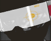Visor F