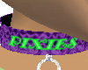 [TGUU]Pix Purple collar