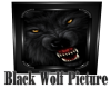 Black Wolf Picture