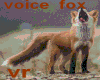 VOICE / FOX CRIE