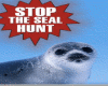 stop the seal hunt