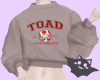 ☽ Toad Sweater