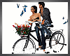 (VH) Romantic Bike