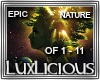 DJ Epic Nature Song