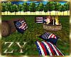 ZY: 4th of july Bonfire
