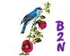 B2N-Blue Bird