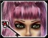 !PD! PinkRot Bangs