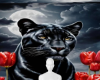Night panther background