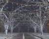 iva xmas street