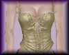 (V) Gold Leather Corset