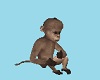 CK Safari Rm Baby Monkey