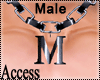 A. M Titanium Chain M