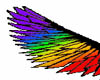 rainbow n black wings