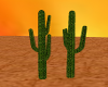 desert cactus derivable.