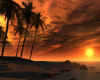 Tropical Sunset Backdrop