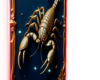 Scorpio_CustomCutout
