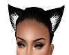 LC Black Kitty Ears