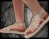 +Helios Steps