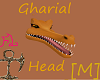 Gharial Head [M]