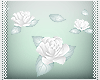 :M Nre .Floating Roses.