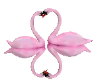 Animated pink swans