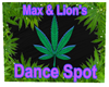 Max & Lions Dance Spot