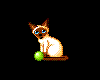 Tiny Cat With Green Ball