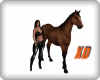 D ALAZAN HORSE