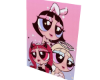 ⭐PPG Poster