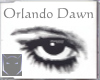Liquid - Orlando Dawn