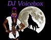 DJ Voicebox