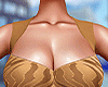 Brown RomperSuit