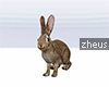 Zheus Rabbit Furni 1