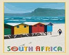 VP - South Africa