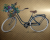 eKD  Flower Bike