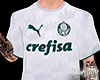 Camiseta Palmeiras | v2