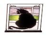 Remembering Kitty's Love