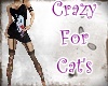 Crazy for cat's