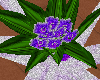 [DML]  Purpel Flower Pot