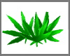 MaryJane Pillows