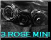 black roses mini
