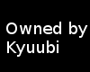 owned by kyuubi