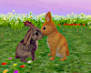 ☾ easter bunnies