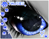 🍀 Bluebell Eyes