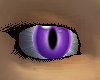 Purple Fantasy Cat Eyes