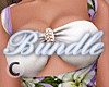 Spring Version 1 Bundle
